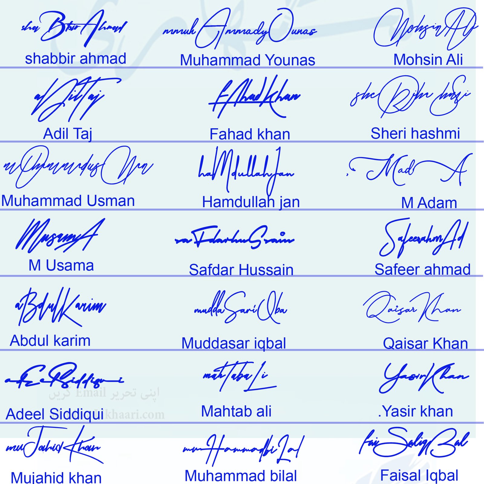 Professional Signature Styles